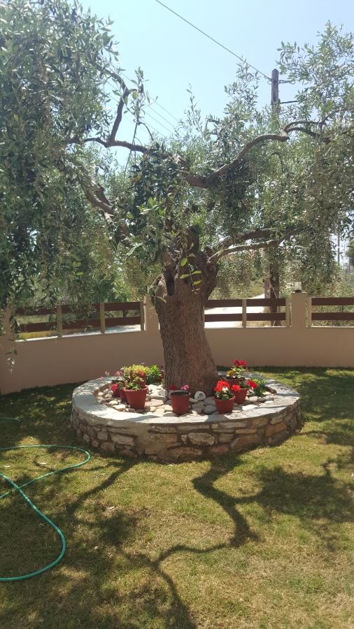 Villa Rafaela يميناريا المظهر الخارجي الصورة